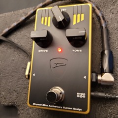 Special bass-drums mix from TOTALSAW demo with Darkglass Dingwall