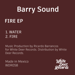 WDR058 - Barry Sound - Water (White Deer Records)