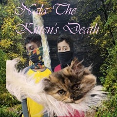 Nala The Kitten's Death Feat:- Anirudh The Rebel Rapper