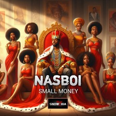 nasboi small money