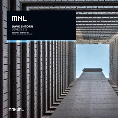 Levels 2.5 (Nic Rinaldi Remix)