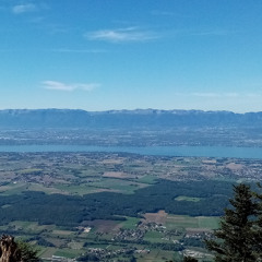 Là-bas (Jean-Jacques Goldman)