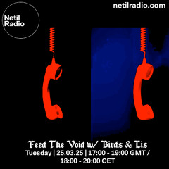 Feed The Void w/ Birds & Lis - 25th March 2025