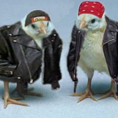 only got the team i think it was called