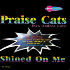 Darren Omnet - Shined On Me