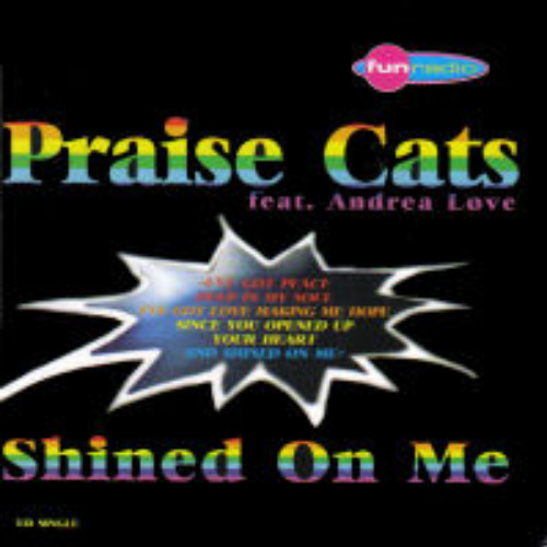 Darren Omnet - Shined On Me
