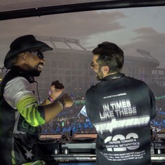 Green Velvet B2B Alok EDC ORLANDO 2025