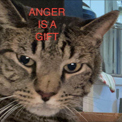 Anger Is A Gift