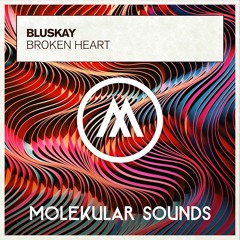 BluSkay - Broken Heart
