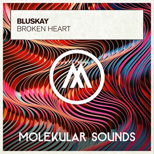 BluSkay - Broken Heart