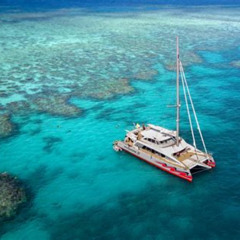 Best Passions Of Paradise Great Barrier Reef Snorkel And Dive Cruise From Cairns By Luxury Catamaran Tours Review