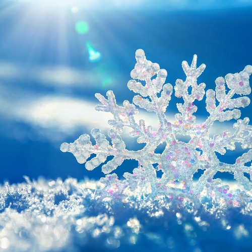 Jesus Lord, I Love You (w/ Wendy)