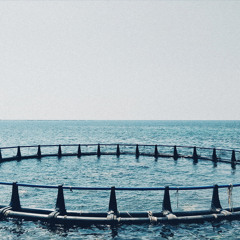Approach – Inward