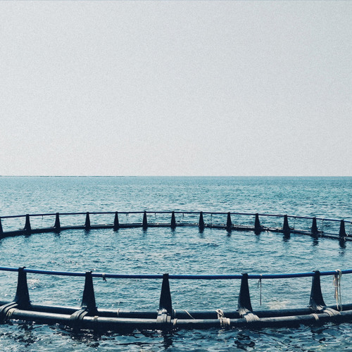 Approach – Inward