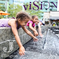 Vision