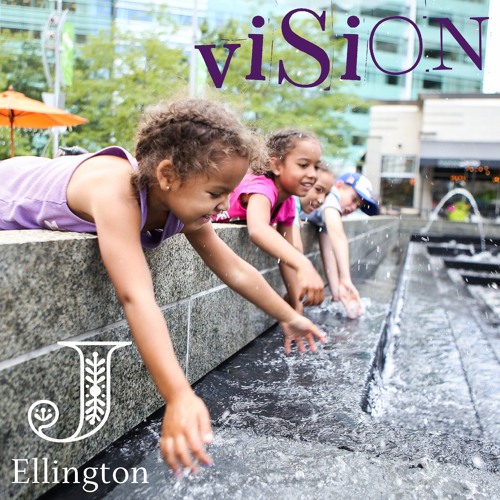 Vision