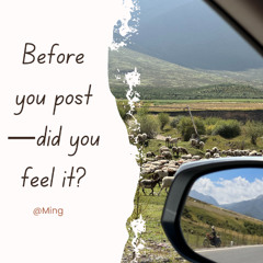 Is It the Filter Choosing the View—Or You? The Dual Scripts of Travel and Social Media