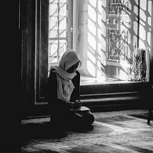 كّم نَاشد المُختار ربْه .. فى هِدي إنّساناً أحَبه