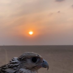 - اه من خلي -.mp3