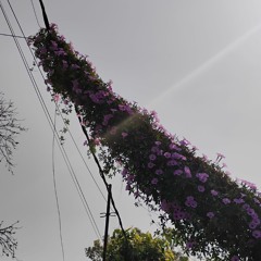 untitled 2