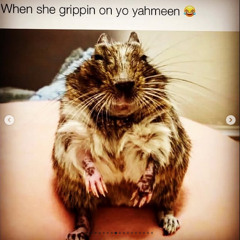 pretty bitch prod ???