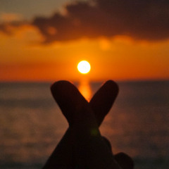 그림자까지 좋아 (covered by. M'oa)