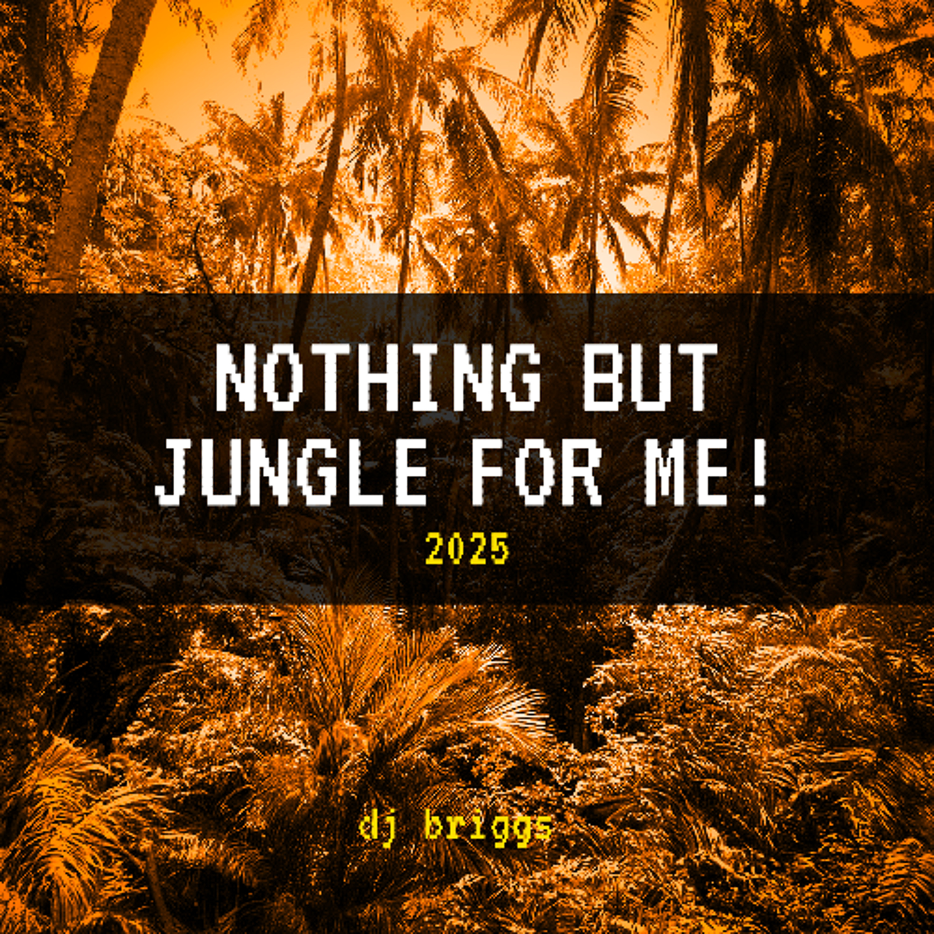 JUNGLE 2025 B episode artwork