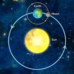 Kingin' that tail| hd oc x lil wayne would say some