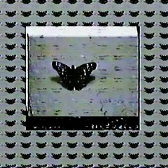 LSD & Quassine - All You Need Is Mud