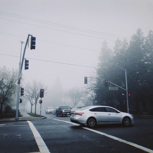 Samuke - Tokyo