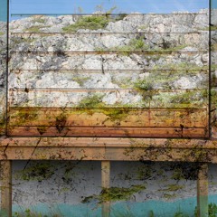 Thee Capsule Landed; alien came to visit (childhood's interpretation)