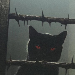 BlackCats // Lil Black (prod. Comoparr)