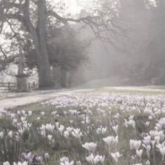 melancholia - lana del rey