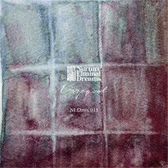 Inqapool - NLDMIX 010