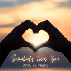 DMC vs Plumb - Somebody Loves You