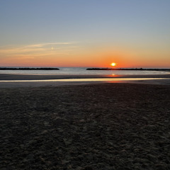 Yves Larock-Rise Up (Venometrix Remix)