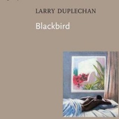 📕 10+ Blackbird by Larry Duplechan