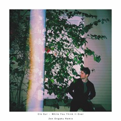 Clo Sur - While You Think It Over (Zen Ongaku Remix)