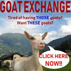 SOAD ft. Ash Ketchum & Kitboga - Chop Suey