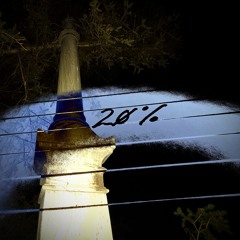 20%