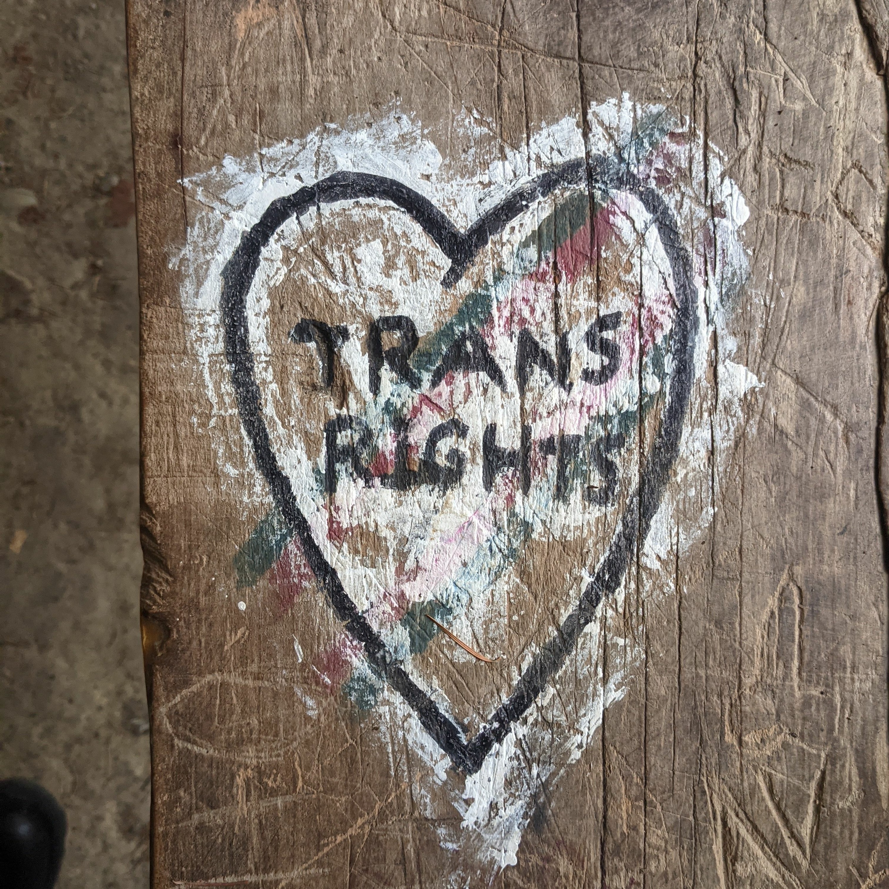 Trans Health and Abortion Access: an interview with Quinn Gormley episode artwork