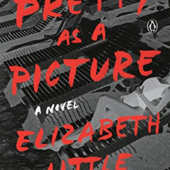 FREE EBOOK ✅ Pretty as a Picture: A Novel by  Elizabeth Little PDF EBOOK EPUB KINDLE
