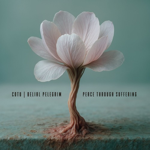 Peace Through Suffering  [COtu + Belial Pelegrim]