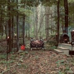 Downtempo In The Forest
