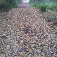 Leaves In October Played By Ian Hunter