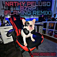 NATHY PELUZO - BZRP (FLAMING REMIX)
