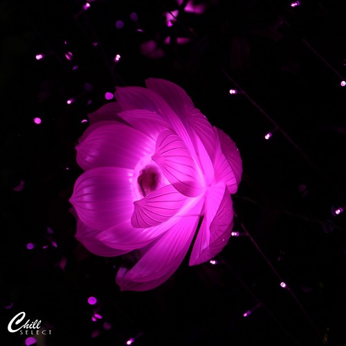 WanderLight - Missing You Maybe