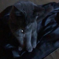 ain't real / falling down (prod. @pradalex x @dugchain x @sacredflower)