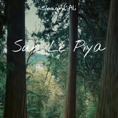 Shaghil Ali - Sun le Piya