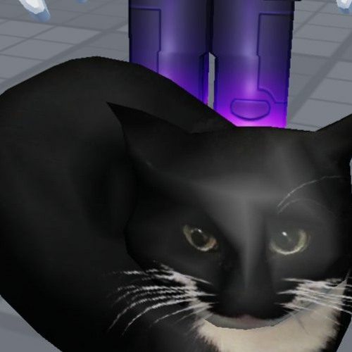 Stream Roblox Cat Meme Idk By KMFEA Listen Online For Free On SoundCloud Artworks DW2zT85BPNZn98Qm UvjoRg T500x500